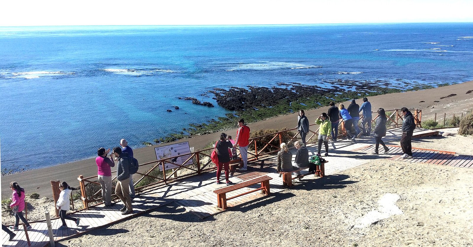 Best Time to Visit Puerto Madryn: Wildlife Calendar Month by Month