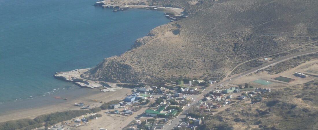 Valdes Peninsula Tour from Puerto Madryn: Full-Day Itinerary